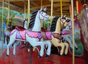 Outside Row and 2nd Row Dare Horses and 3rd Row Roebuck Horse